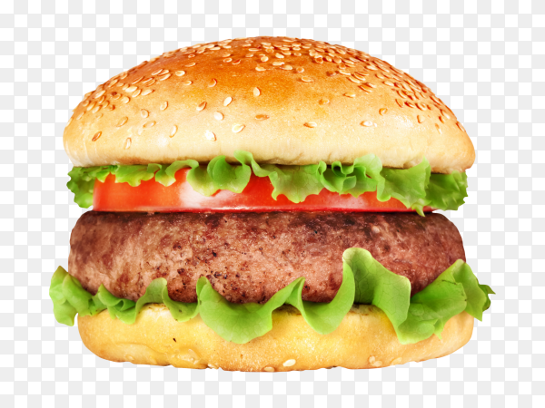 Detail Hamburger Transparent Background Nomer 9