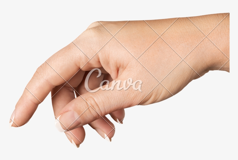 Detail Hand Holding Something Png Nomer 22