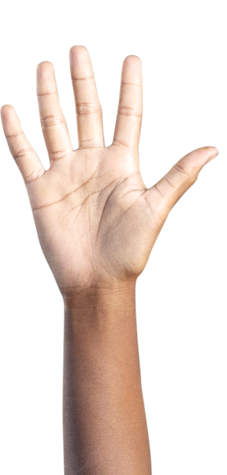 Detail Hand Images Nomer 32