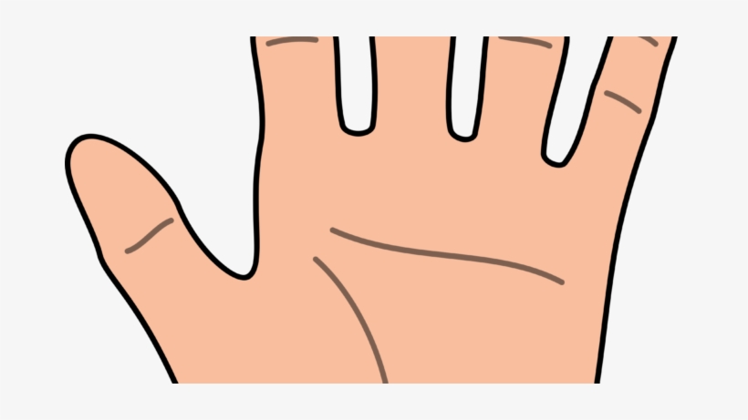 Detail Hand No Background Nomer 33