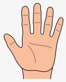 Detail Hand No Background Nomer 47