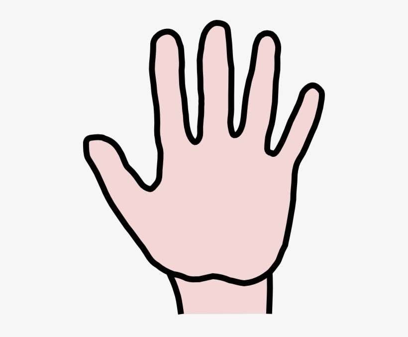 Detail Hand Palm Png Nomer 37