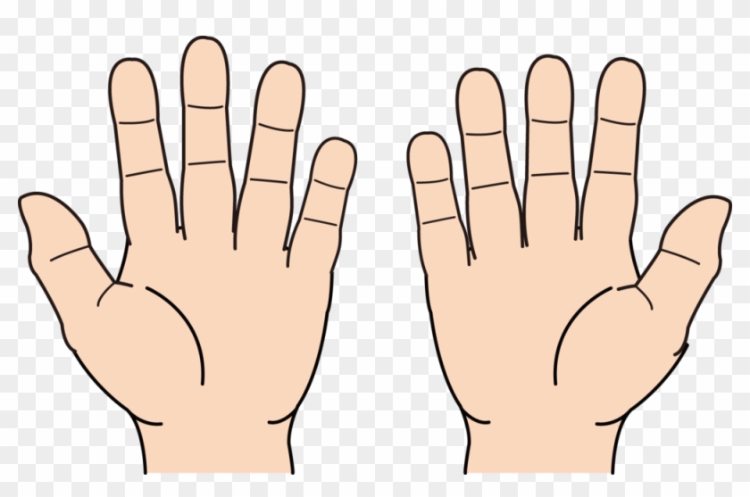 Detail Hand Palm Png Nomer 6