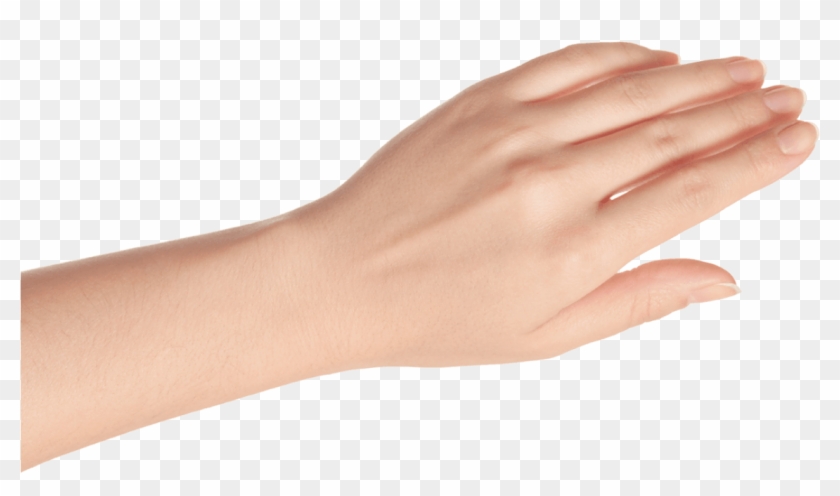 Detail Hand Png Image Nomer 23