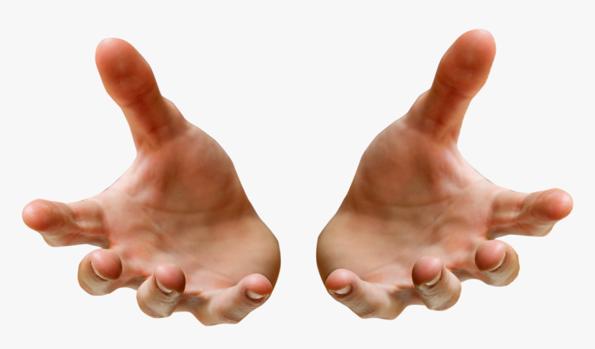 Detail Hand Transparent Background Nomer 18