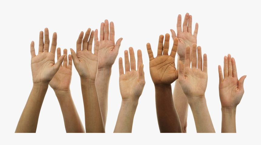 Detail Hand Transparent Background Nomer 41
