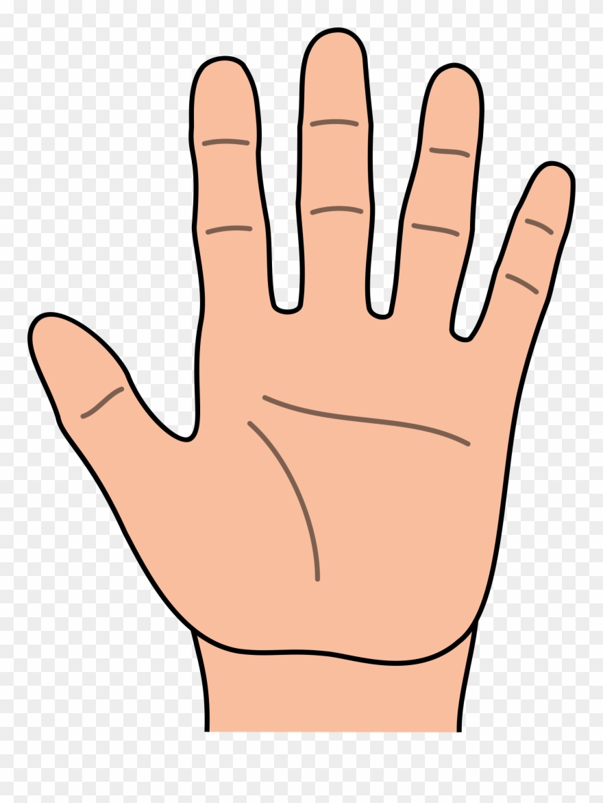 Detail Hands Clipart Png Nomer 19