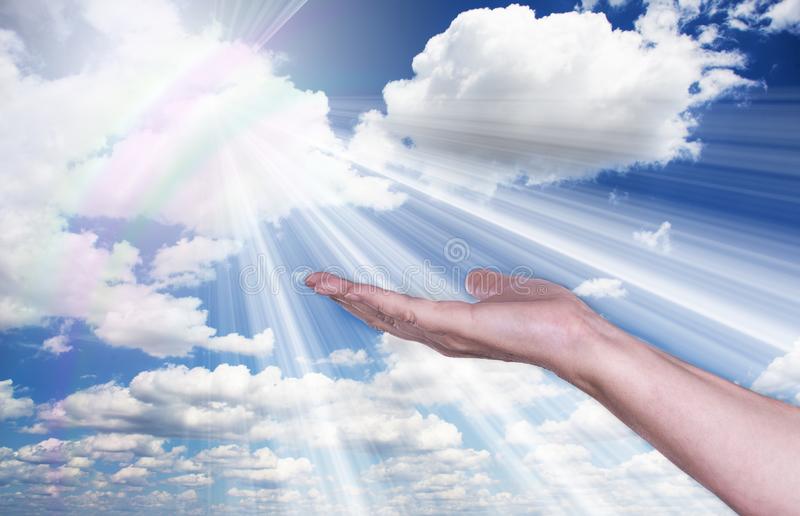 Detail Hands Images Free Nomer 27