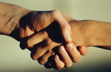 Detail Hands Images Free Nomer 6