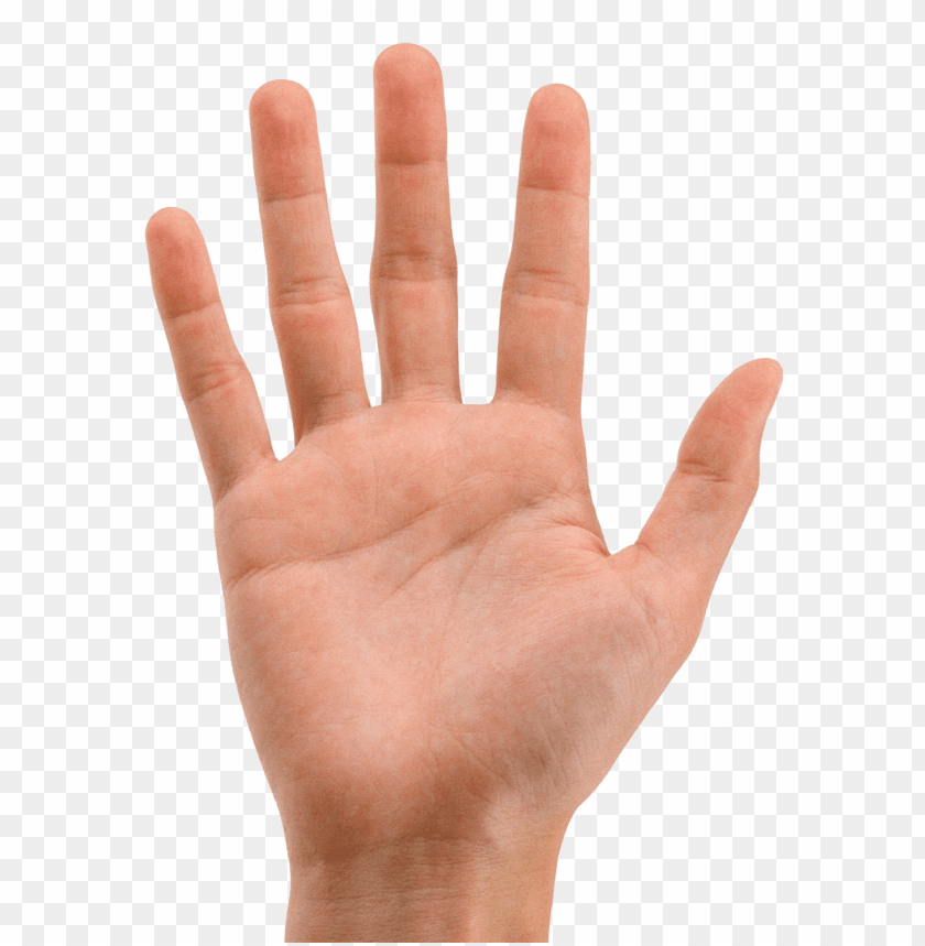 Hands Png Transparent - KibrisPDR