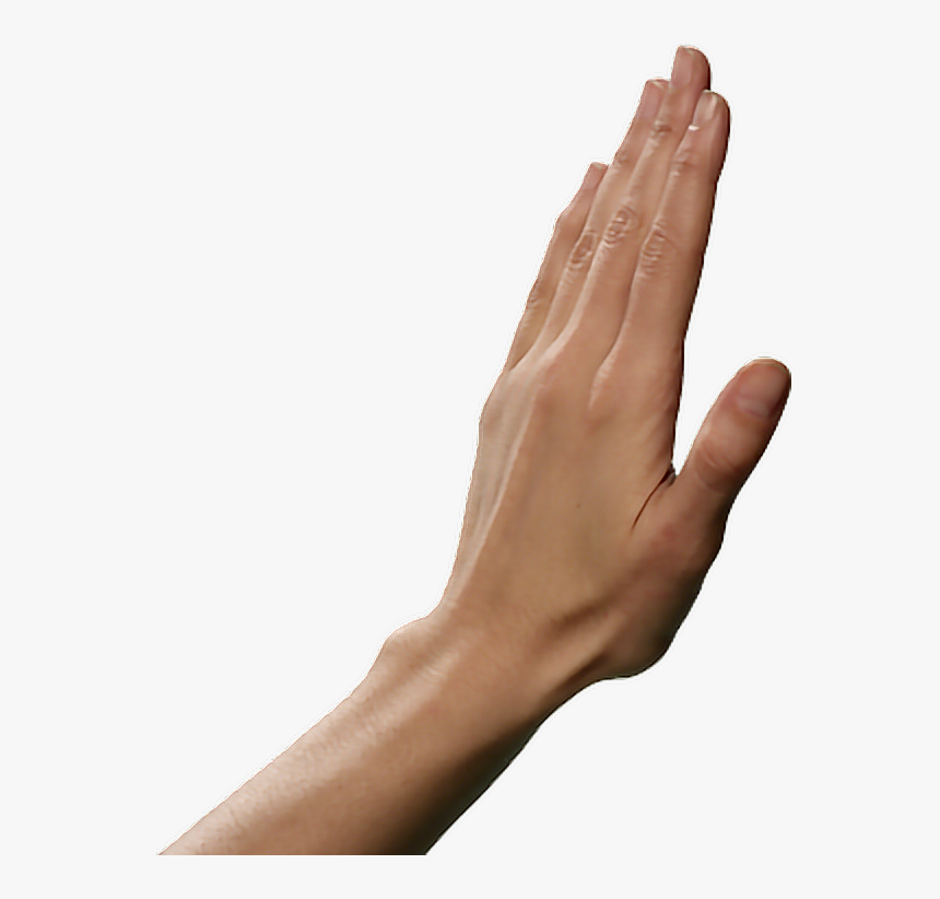 Detail Hands Png Transparent Nomer 10