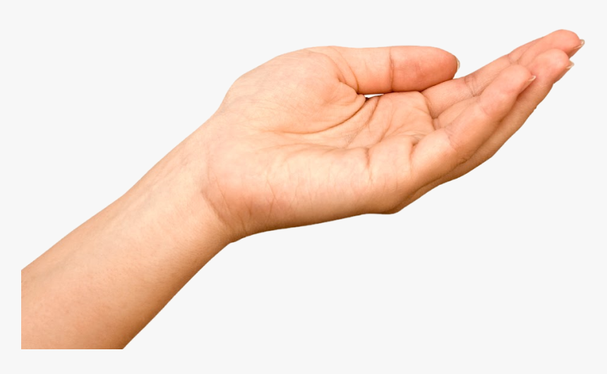 Detail Hands Png Transparent Nomer 16
