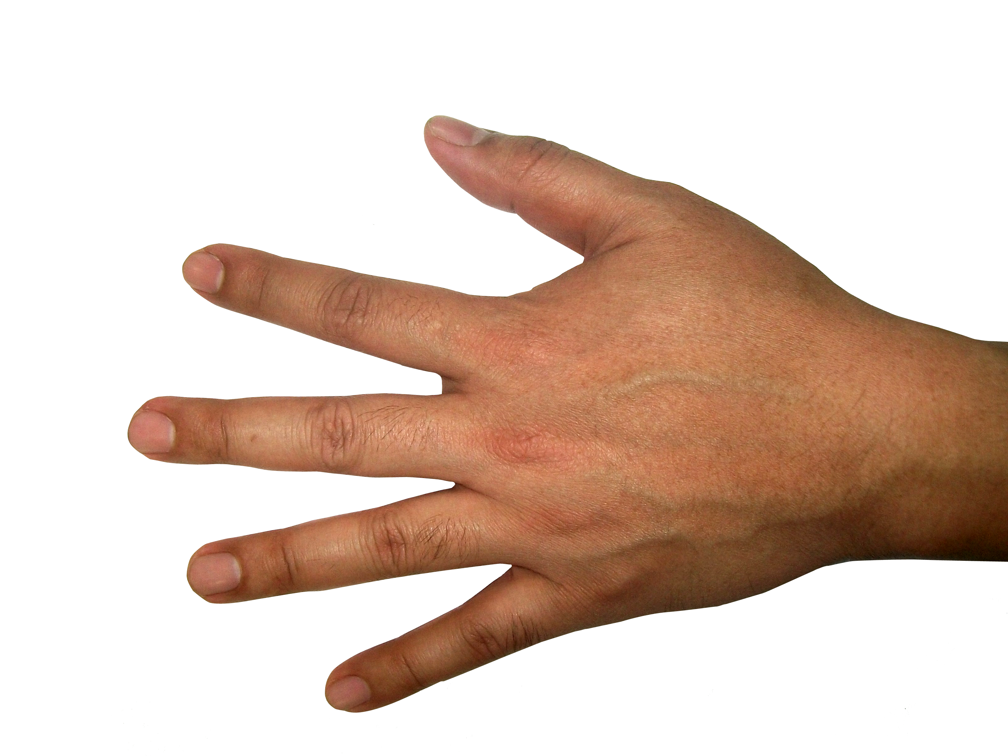 Detail Hands Png Transparent Nomer 17