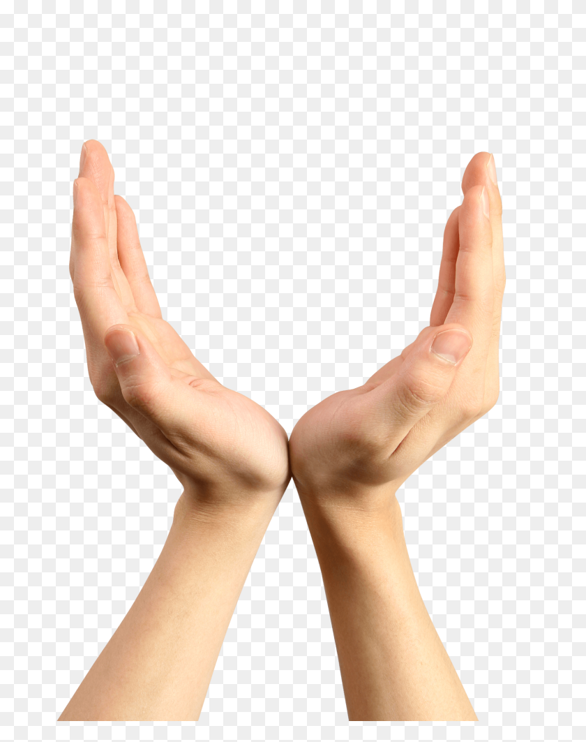 Detail Hands Png Transparent Nomer 18