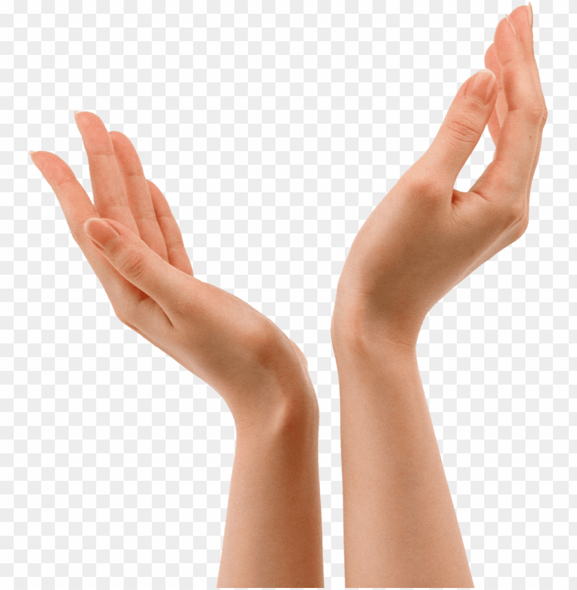 Detail Hands Png Transparent Nomer 3