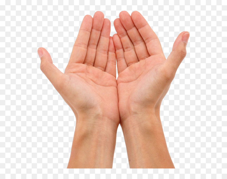 Detail Hands Png Transparent Nomer 19