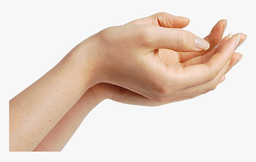 Detail Hands Png Transparent Nomer 21