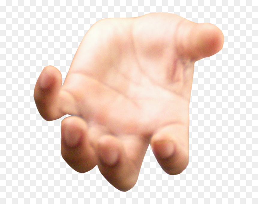 Detail Hands Png Transparent Nomer 23