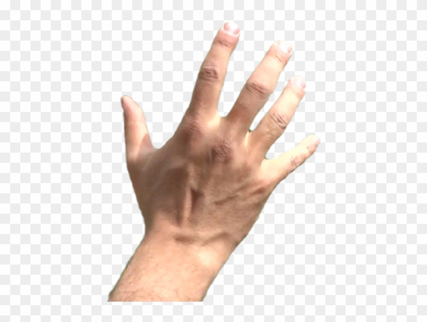 Detail Hands Png Transparent Nomer 27