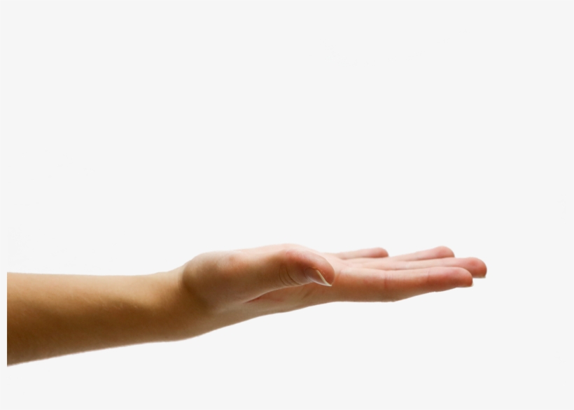 Detail Hands Png Transparent Nomer 35