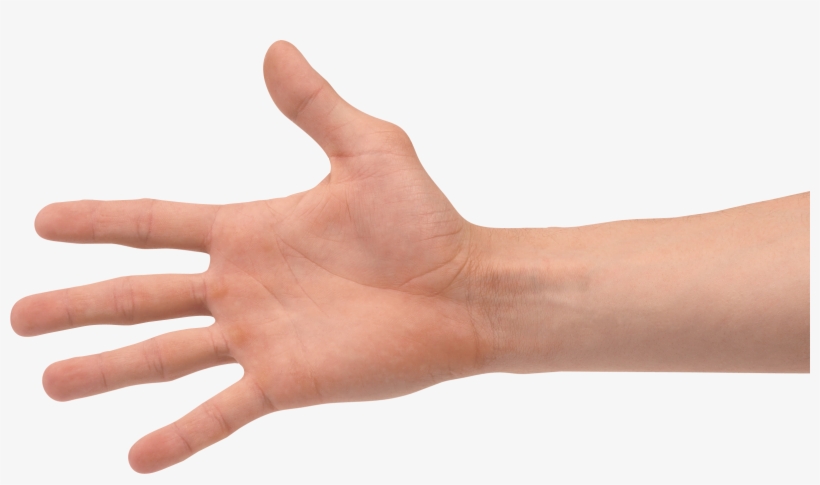 Detail Hands Png Transparent Nomer 5