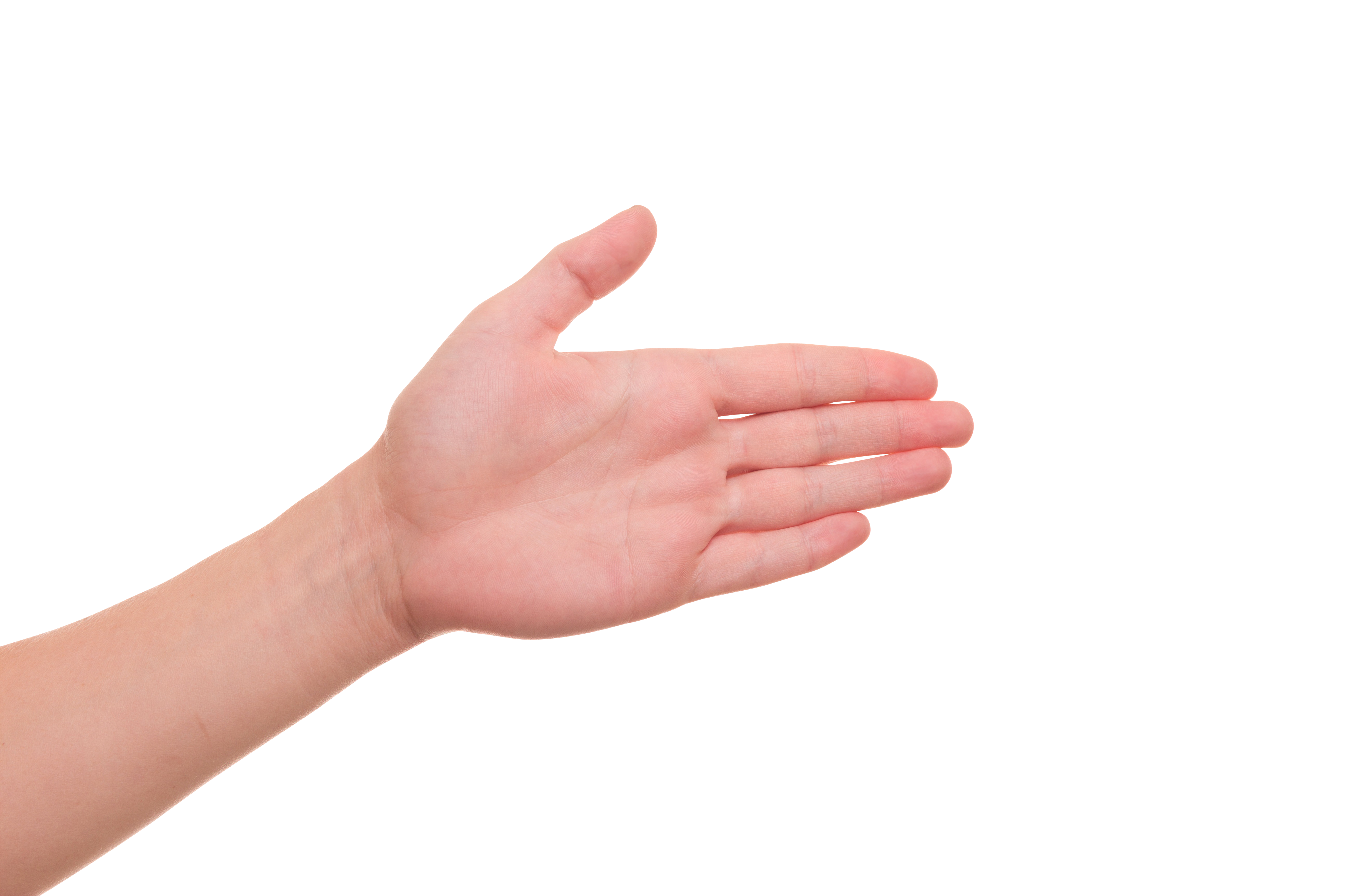 Detail Hands Png Transparent Nomer 41