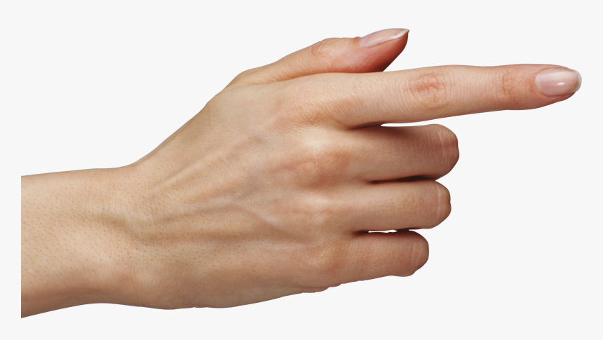 Detail Hands Png Transparent Nomer 42
