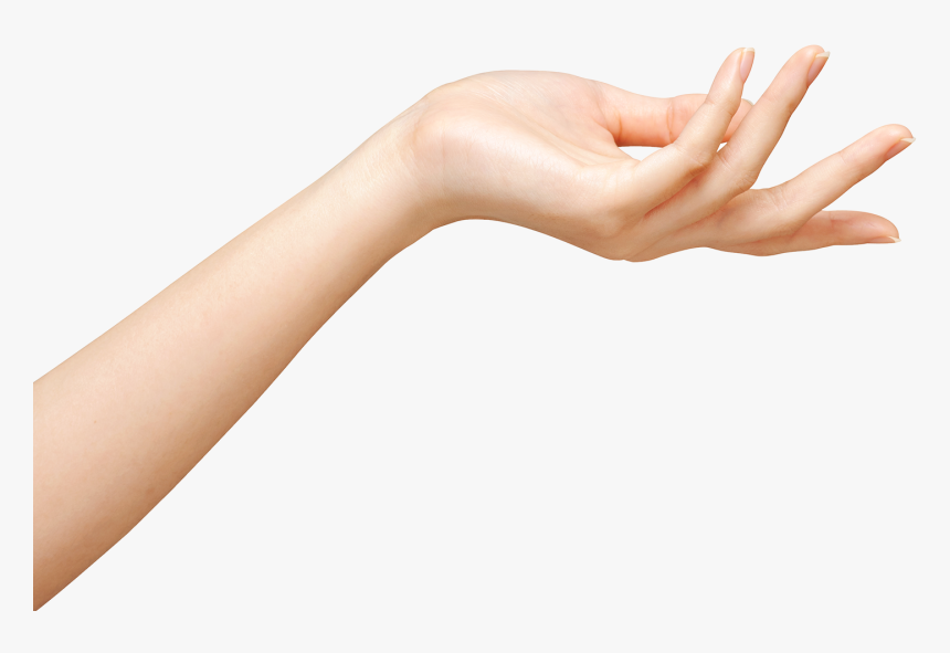 Detail Hands Png Transparent Nomer 44