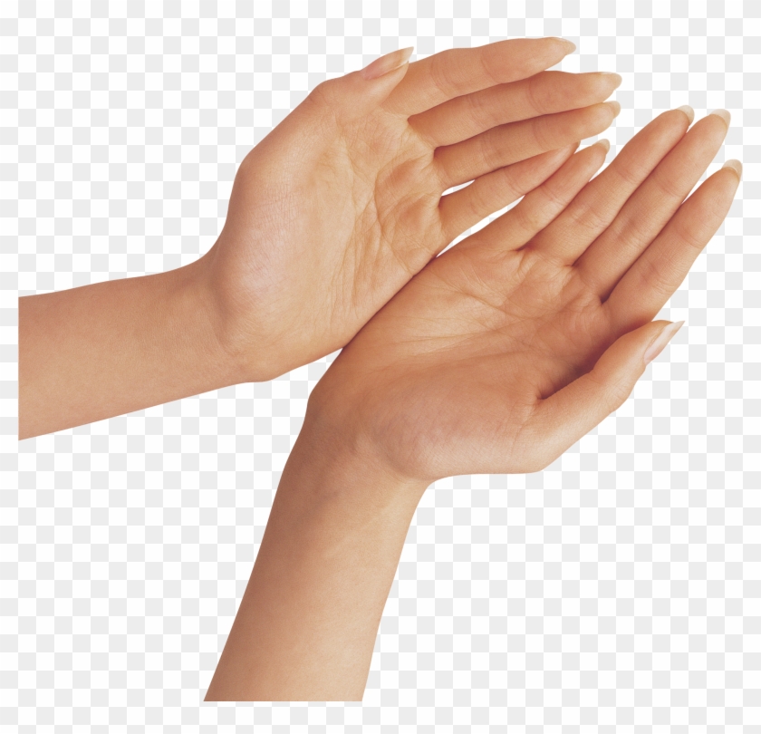 Detail Hands Png Transparent Nomer 6