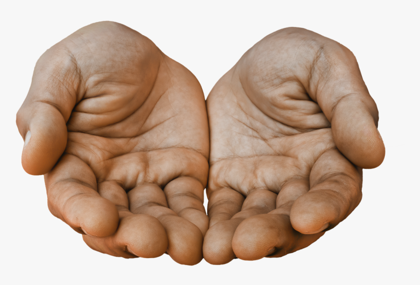 Detail Hands Png Transparent Nomer 49