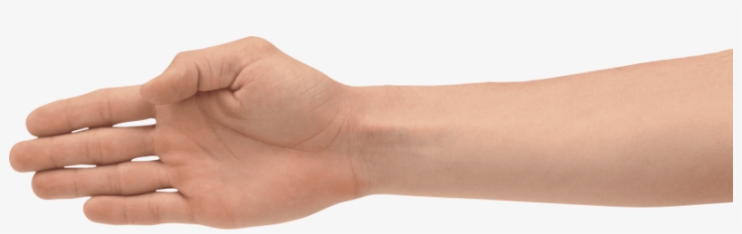 Detail Hands Png Transparent Nomer 50