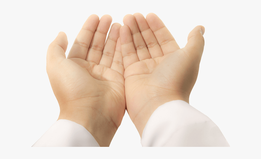 Detail Hands Png Transparent Nomer 51