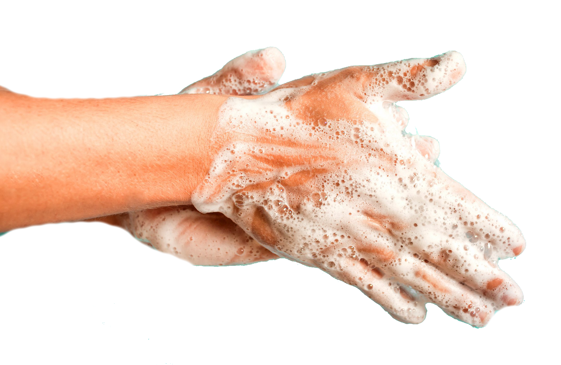 Detail Hands Png Transparent Nomer 52
