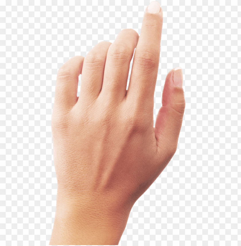 Detail Hands Png Transparent Nomer 7