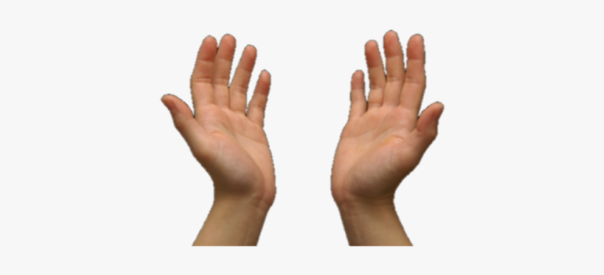 Detail Hands Transparent Nomer 9