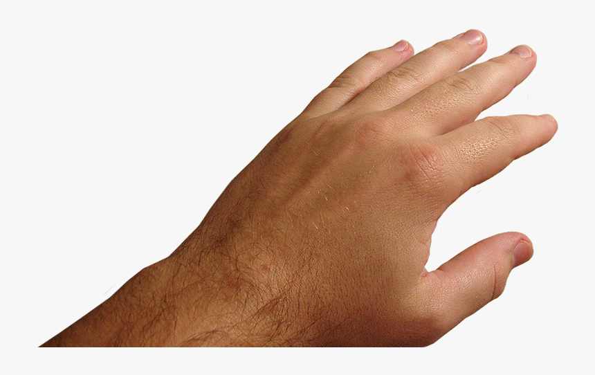 Detail Hands Transparent Nomer 11
