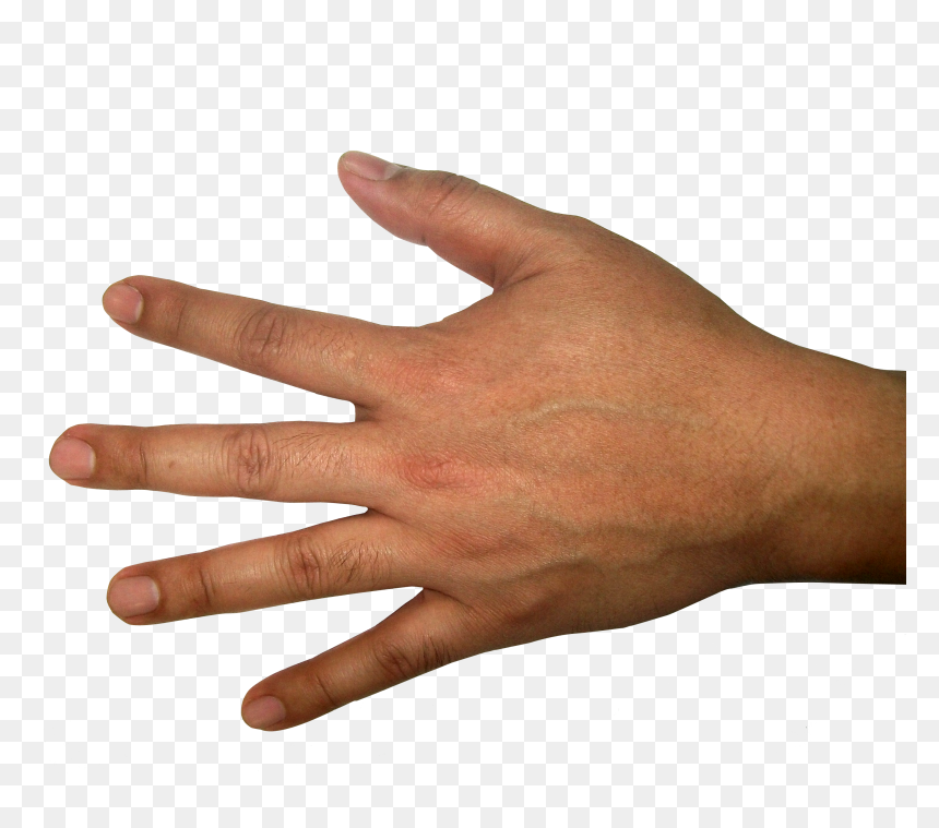 Detail Hands Transparent Nomer 27