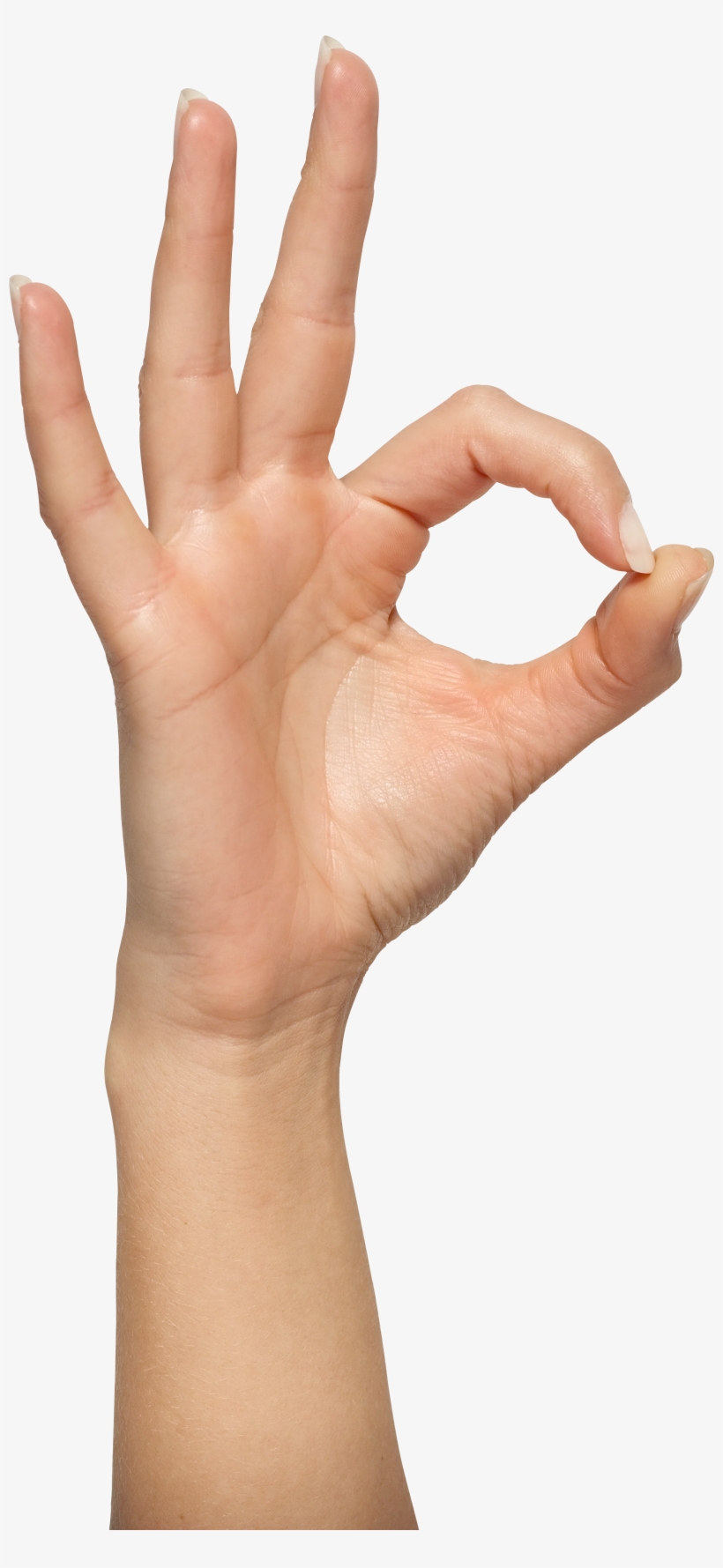 Detail Hands Transparent Nomer 29