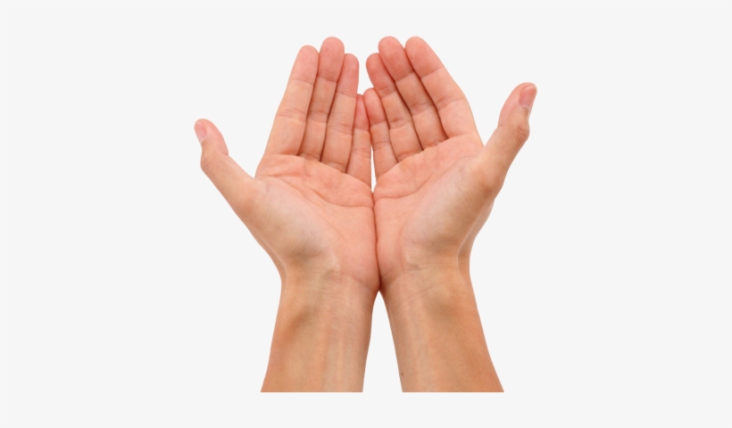 Detail Hands Transparent Nomer 32