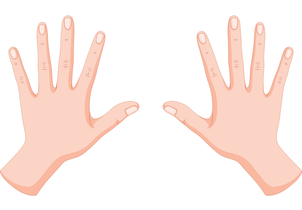Detail Hands Transparent Nomer 36