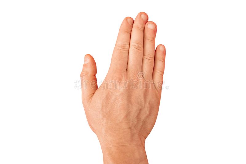 Detail Hands Transparent Nomer 37