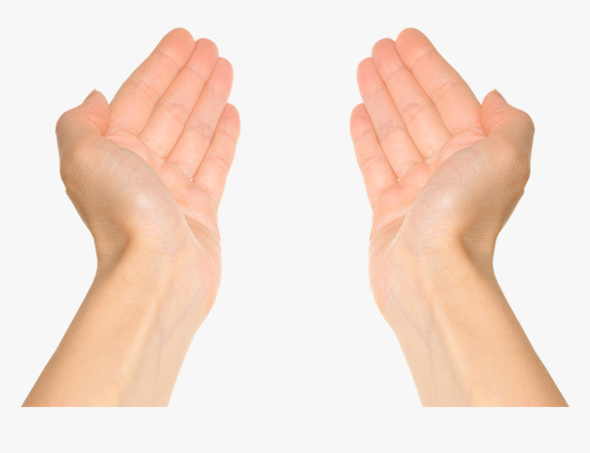 Detail Hands Transparent Nomer 49