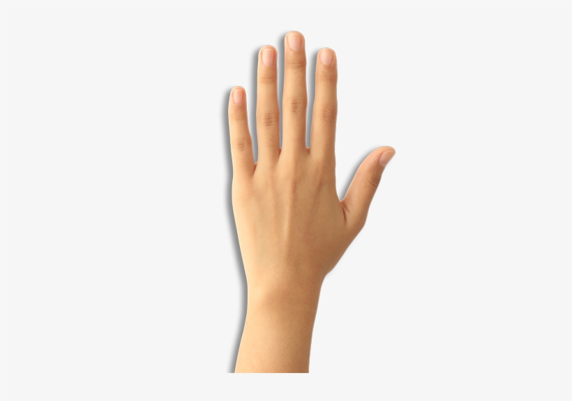 Detail Hands Transparent Nomer 50