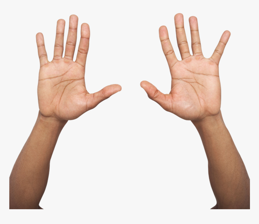 Detail Hands Transparent Nomer 52