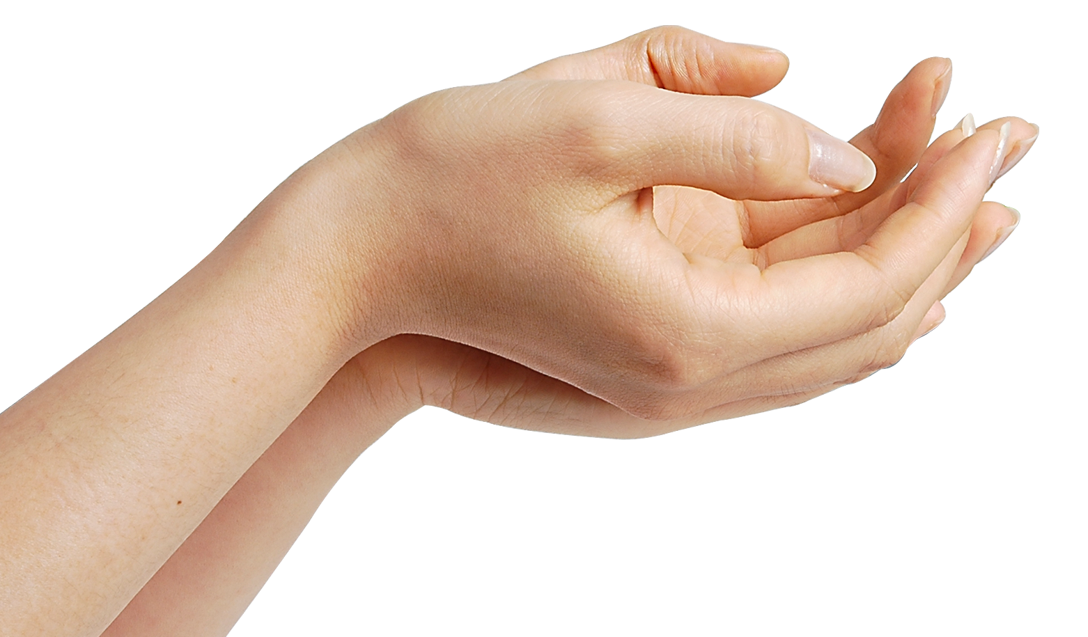 Detail Hands Transparent Nomer 54