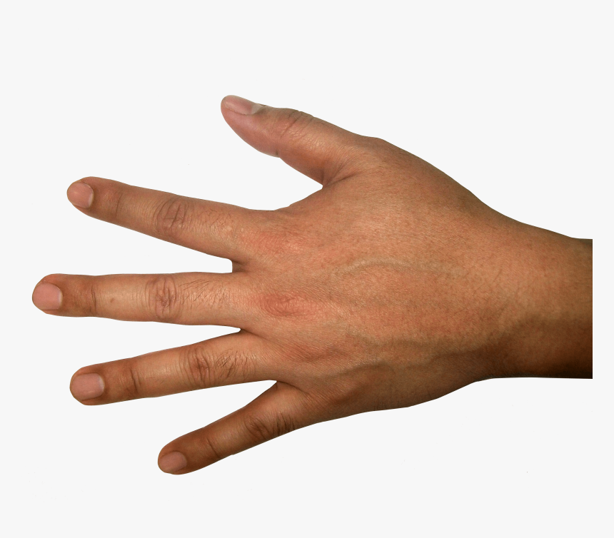 Detail Hands Transparent Background Nomer 12
