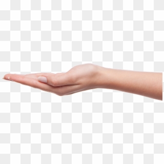 Detail Hands Transparent Background Nomer 21