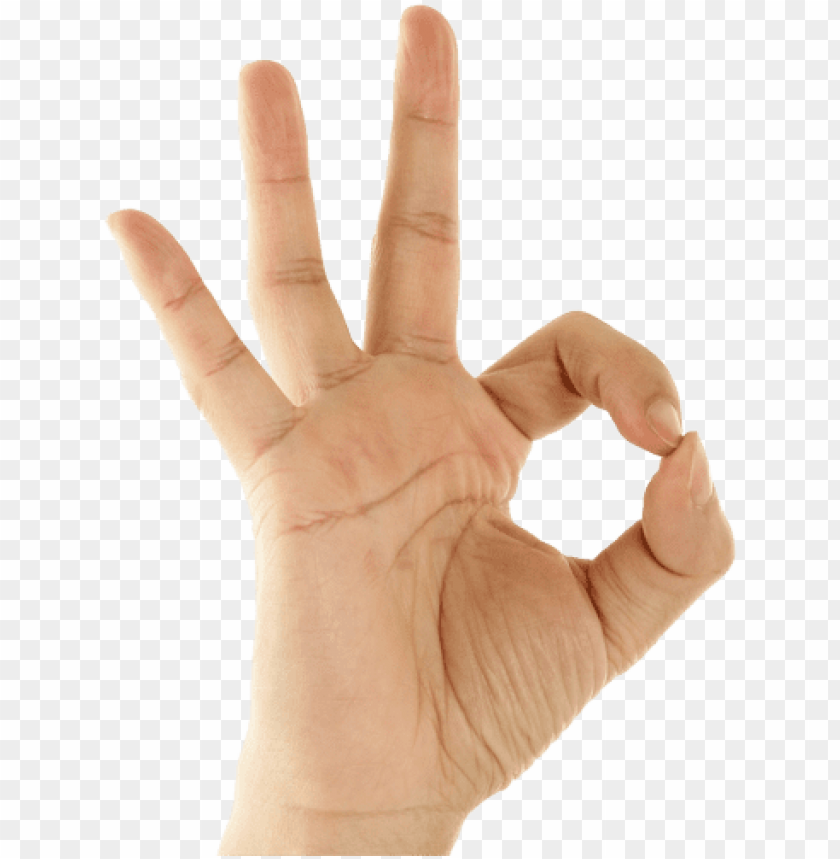 Detail Hands Transparent Background Nomer 22