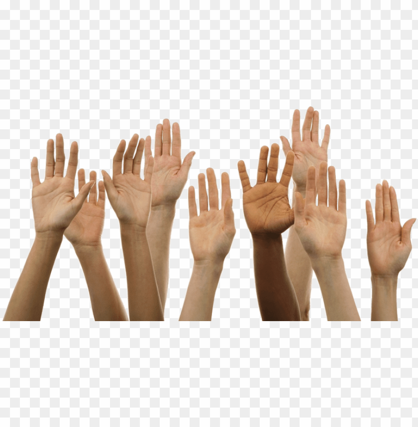 Detail Hands Transparent Background Nomer 40