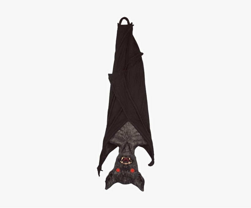 Detail Hanging Bat Png Nomer 20